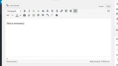 Why The WordPress WYSIWYG Editor is Awesome