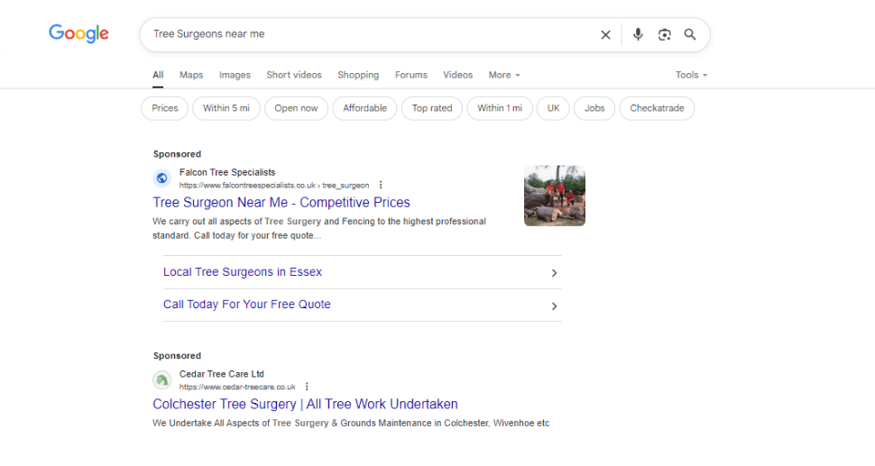 Google Ads for Tree Surgeons