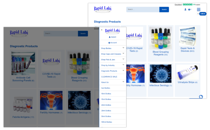 Rapid Labs Web Design (1)