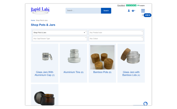 Rapid Labs Web Design (2)
