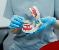 Orthodontists