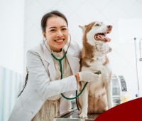 Veterinarians